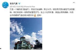 今日青岛爆料最新消息,揭秘神秘事件背后的真相